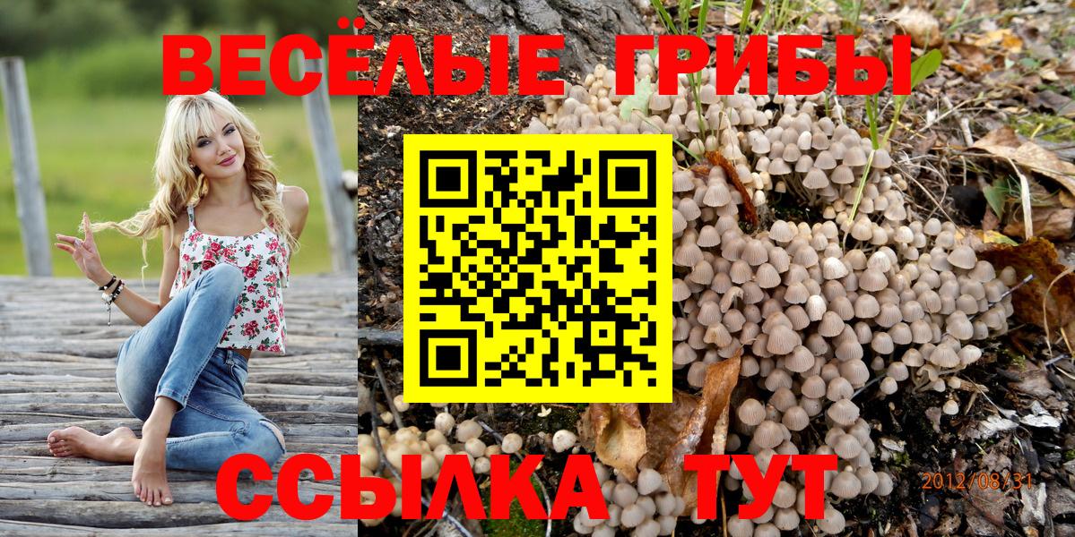 Галлюциногенные грибы ЛСД Россия