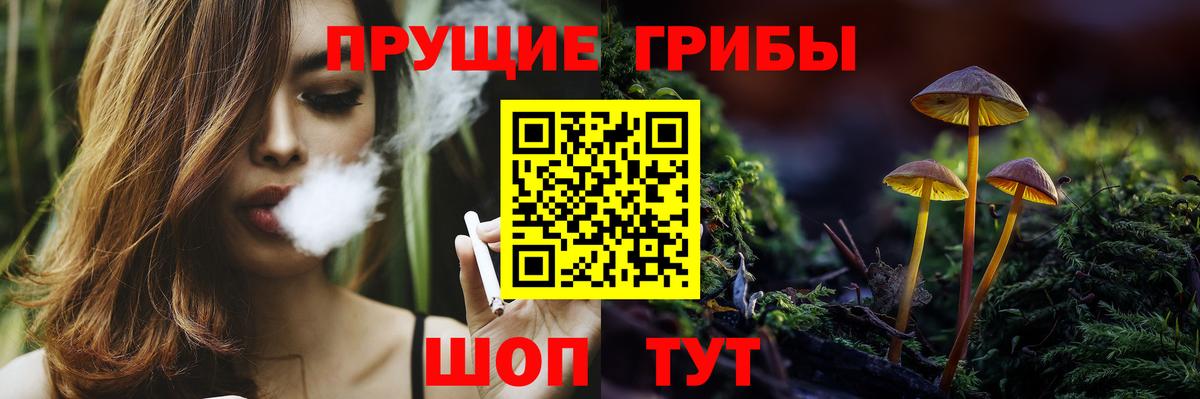 Галлюциногенные грибы Psilocybe  Галлюциногенные грибы MAGIC MUSHROOMS  Вход с VPN  Россия 